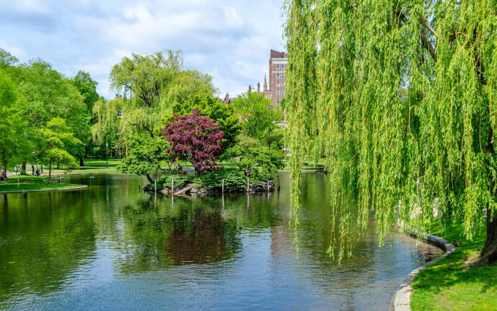 activities to do in Boston for young adults