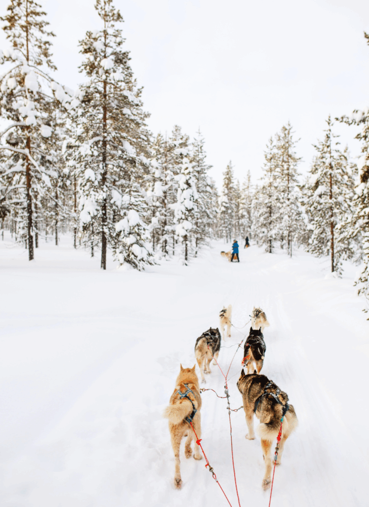 lapland itinerary