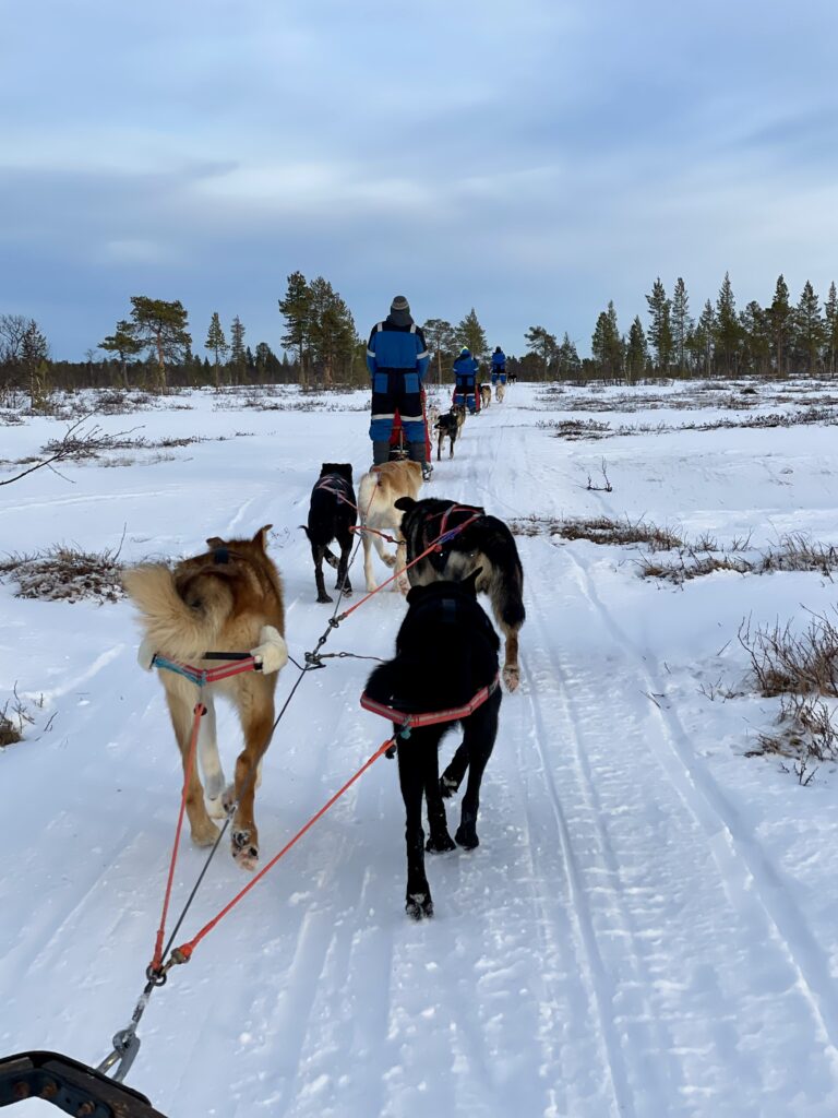 which month is best for northern lights in sweden