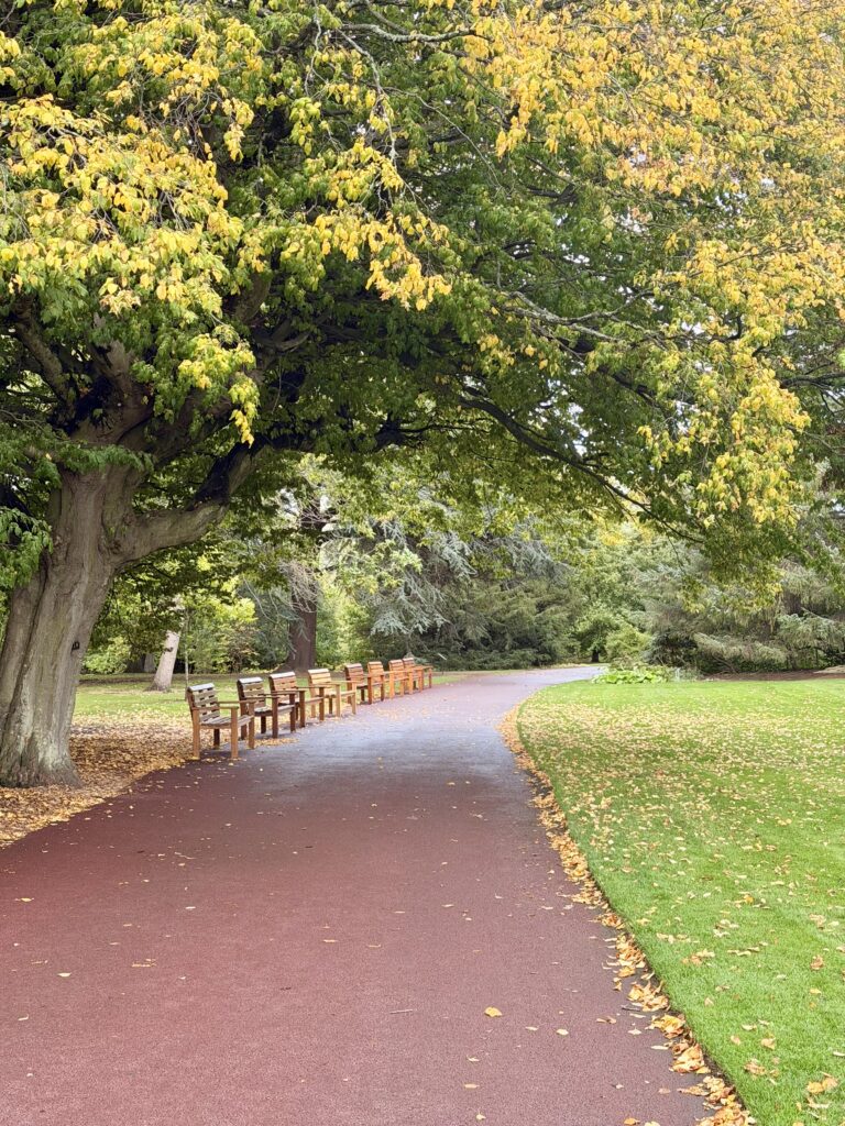 things to do in edinburgh for young adults