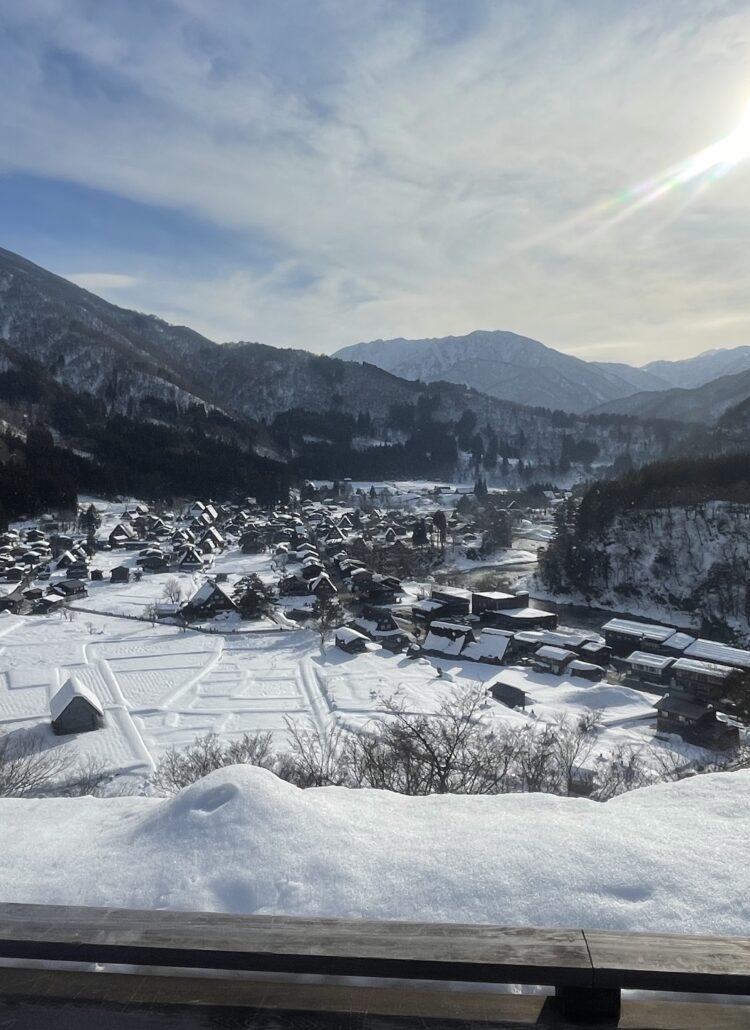 japan experience reviews